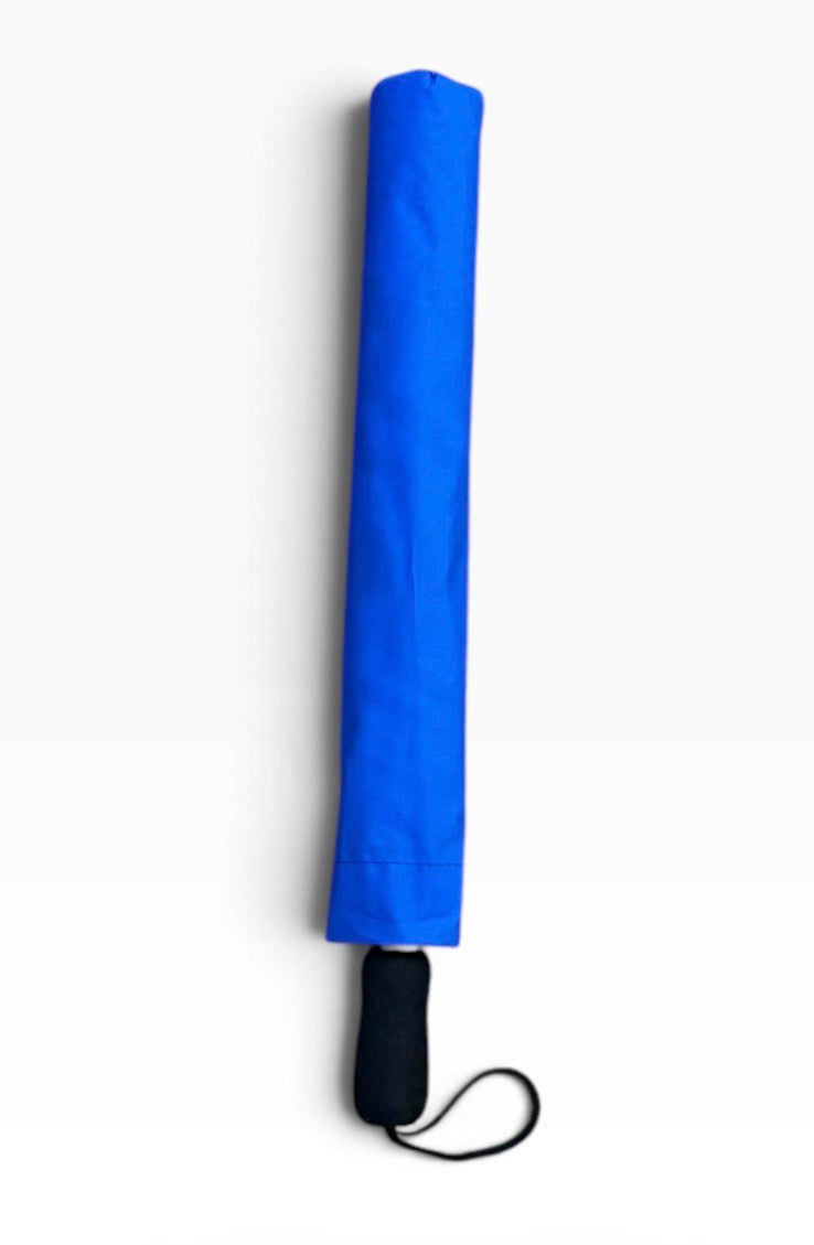 Phi Beta Sigma blue and white umbrella